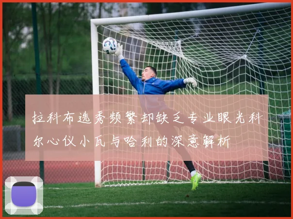 拉科布选秀频繁却缺乏专业眼光科尔心仪小瓦与哈利的深意解析