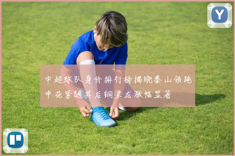 中超球队身价排行榜揭晓泰山领跑申花紧随其后铜梁龙涨幅显著